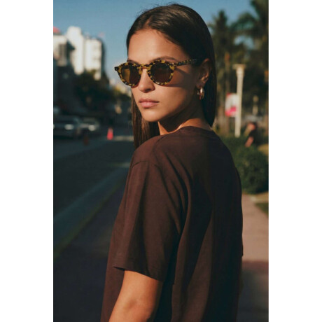 Lentes De Sol Polarizados Carey
