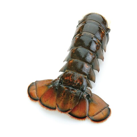 COLA DE LANGOSTA COMUN DEL CARIBE (Laevicauda) 210 - 240 grs (calibre 8) Cola De Langosta Comun Del Caribe (laevicauda) 210 - 240 Grs (calibre 8)