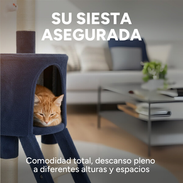 Rascador Torre 5 Niveles En Felpa Y Sisal Para Gato Juego Color Azul