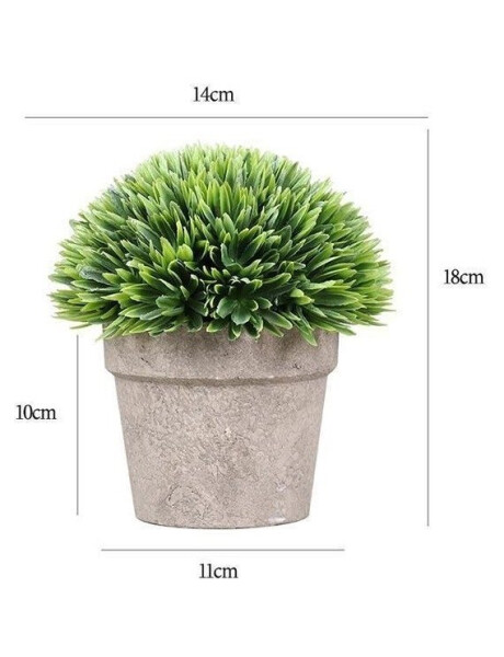 PLANTA LOTO GRANDE NEBULIZADO EN MACETA H18X14CM PLANTA LOTO GRANDE NEBULIZADO EN MACETA H18X14CM