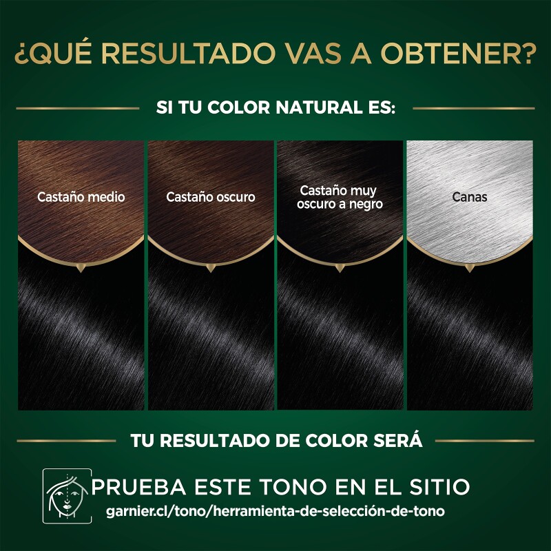 Tinta Garnier Nutrisse Oleos N°1.0 Negro Tinta Garnier Nutrisse Oleos N°1.0 Negro