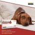 DIUROVET 6 X CAJA DE 10 COMPRIMIDOS DIUROVET 6 X CAJA DE 10 COMPRIMIDOS