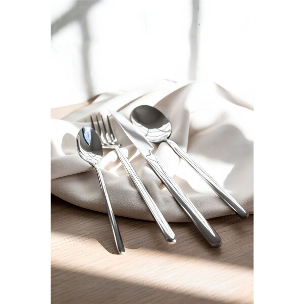 Set x12 Cuchara de mesa 21cm Acero Inox | Selecta Tokio Set x12 Cuchara de mesa 21cm Acero Inox | Selecta Tokio