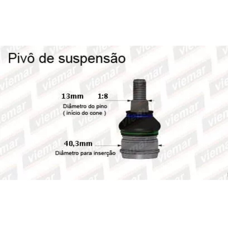 ROTULA DERECHA / IZQUIERDA Rotula Derecha / Izquierda
