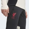 Pantalón Adidas Liverpool FC Tiro 25 Competition Negro