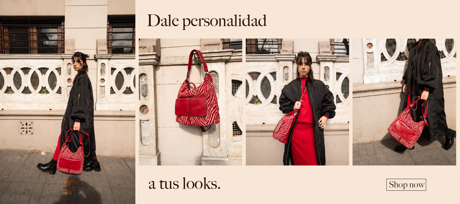 Coleccion 2025