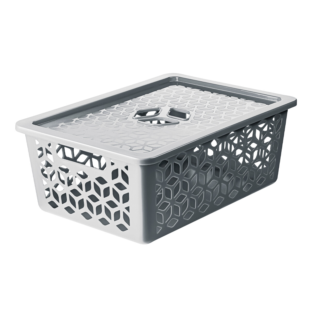 Caja organizadora con tapa G 15L - GRIS 