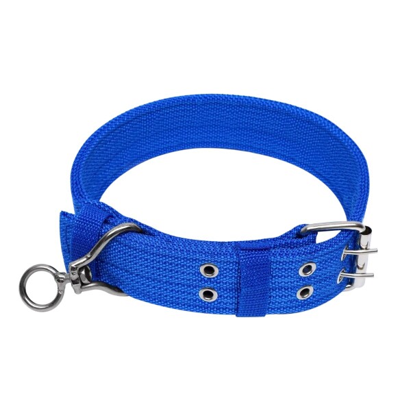 Collar Hebilla Nylon Perros Raza Grande 65 cm Ajustable Variante Color Azul