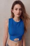 TOP GERANIO Azul Francia