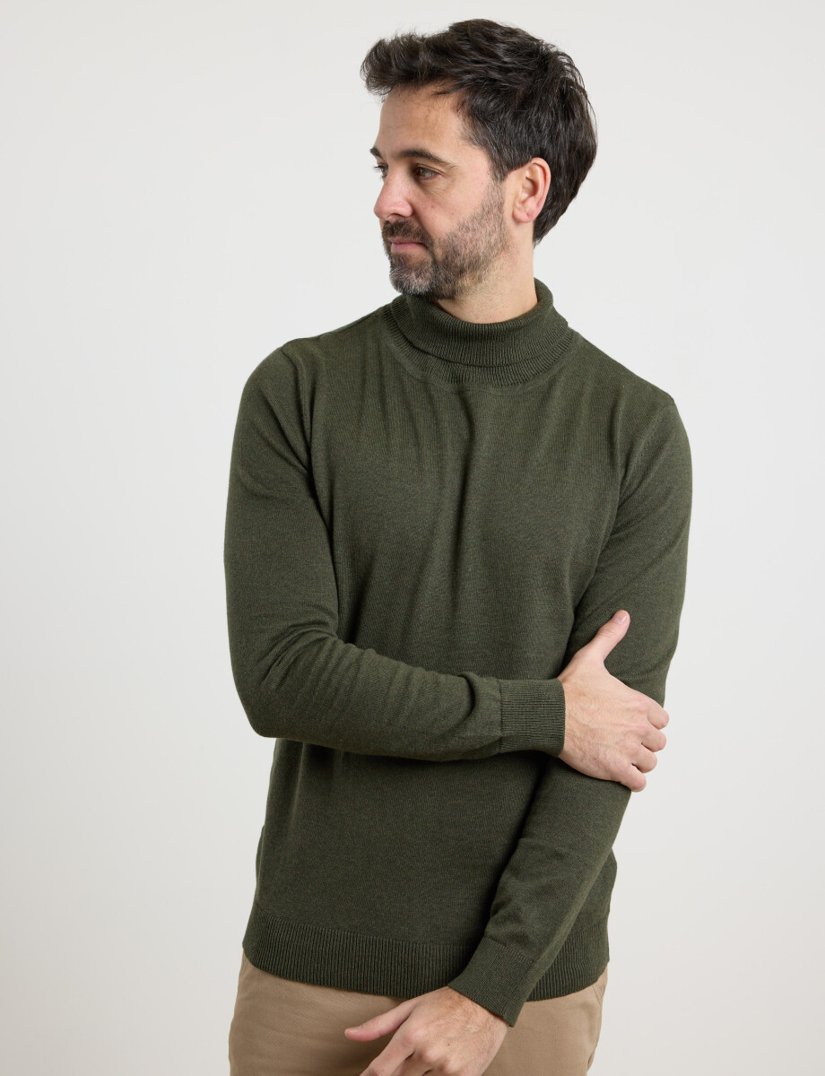 470718 POLERA FERAUD Verde