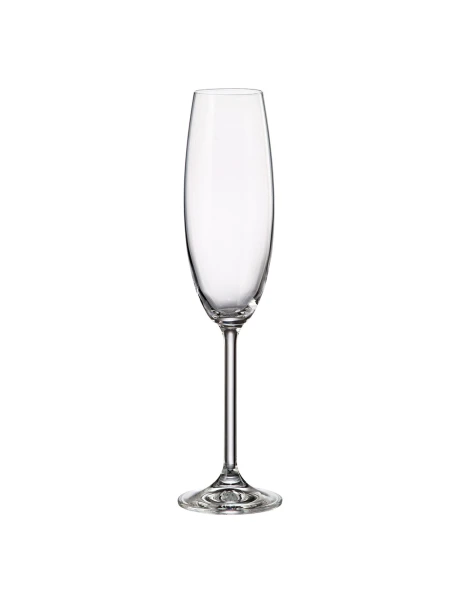 SET 6 COPA FLAUTA 230ML NATALIA MAXIMA BOHEMIA SET 6 COPA FLAUTA 230ML NATALIA MAXIMA BOHEMIA