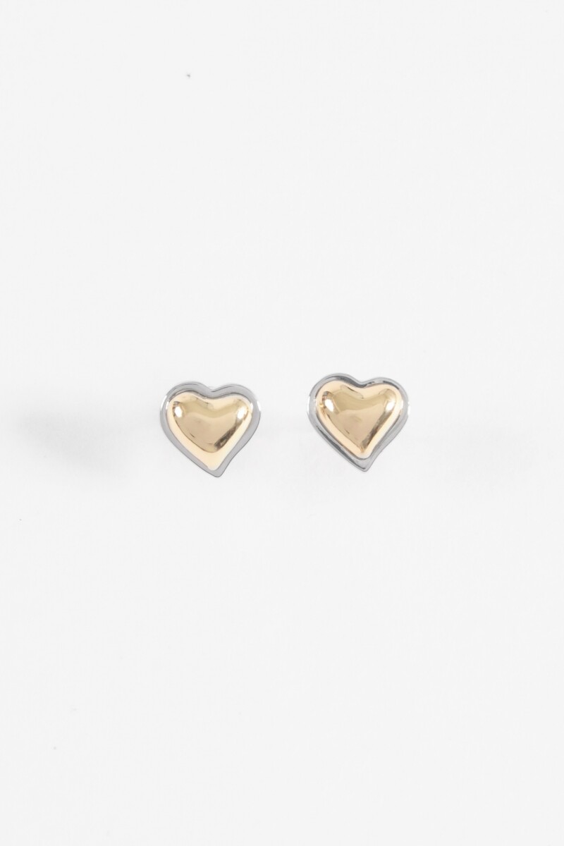 Caravanas cora bicolor plateado