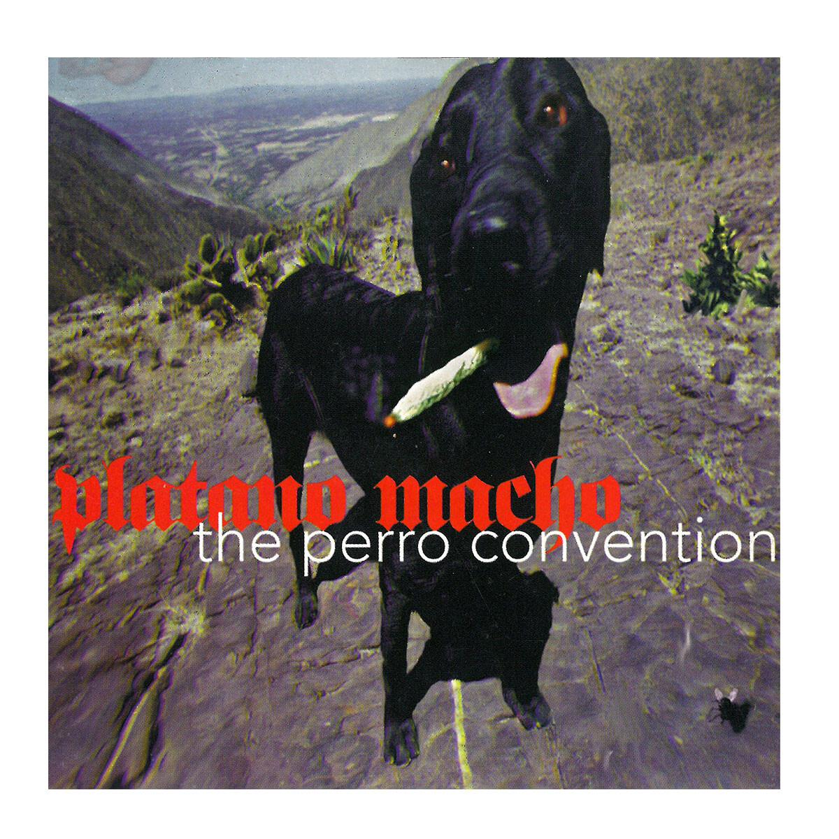Platano Macho - The Perro Convention - Vinilo 