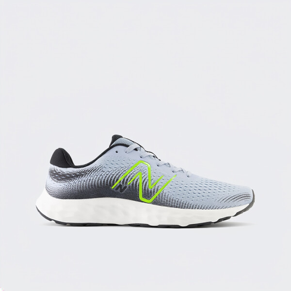 Championes New Balance 520 V8 Gris