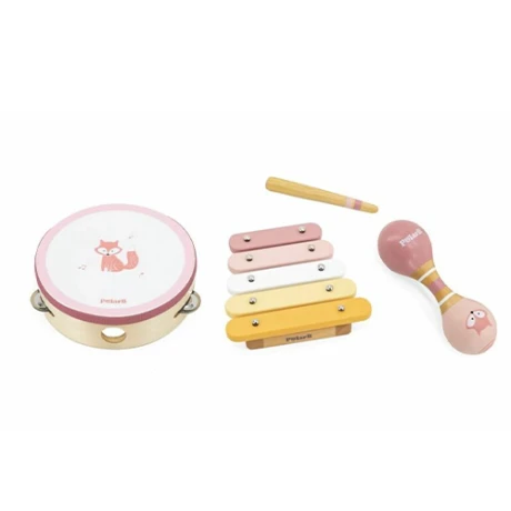 Set de Instrumentos Musicales Polar B ROSA