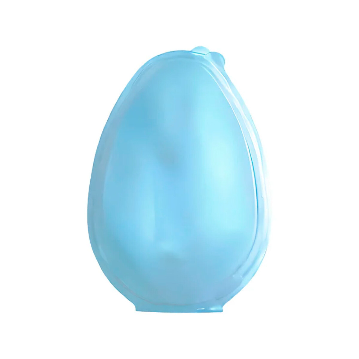 Blister Huevo 500 g x5 