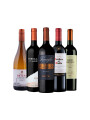 Pack Selección Expresiones del vino x5 vinos Identidad y Expresión Pack Selección Expresiones del vino x5 vinos Identidad y Expresión