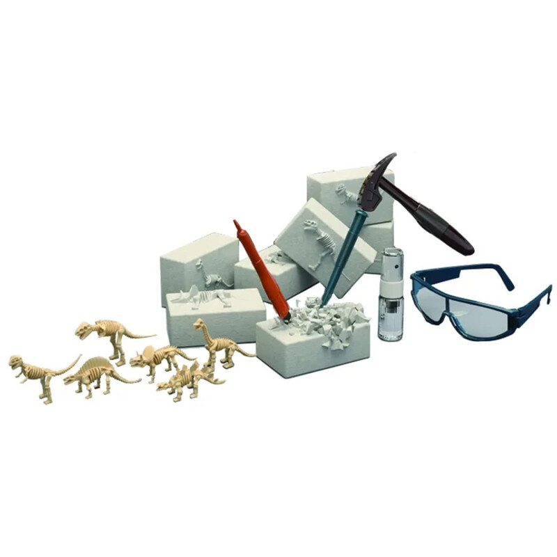 Set De Excavacion Fosiles Dinosaurios Con Accesorios Set De Excavacion Fosiles Dinosaurios Con Accesorios