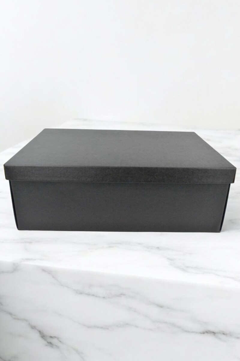 Caja+tapa easy 45,5x32x15 cm. - SETA NERO 