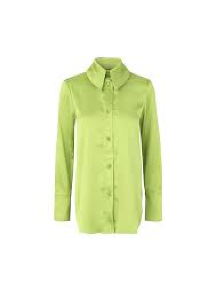 Blusa París - Verde 