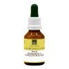 FLORAL MEMORIA Y CONCENTRACION 30 ml.