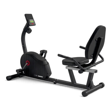 Bicicleta Horizontal Randers ARG-2545 con Respaldo y Pulso Bicicleta Horizontal Randers ARG-2545 con Respaldo y Pulso