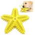 Juguete Perro Dental Morder Higiene Estrella Marina Flotante Color Variante Amarillo