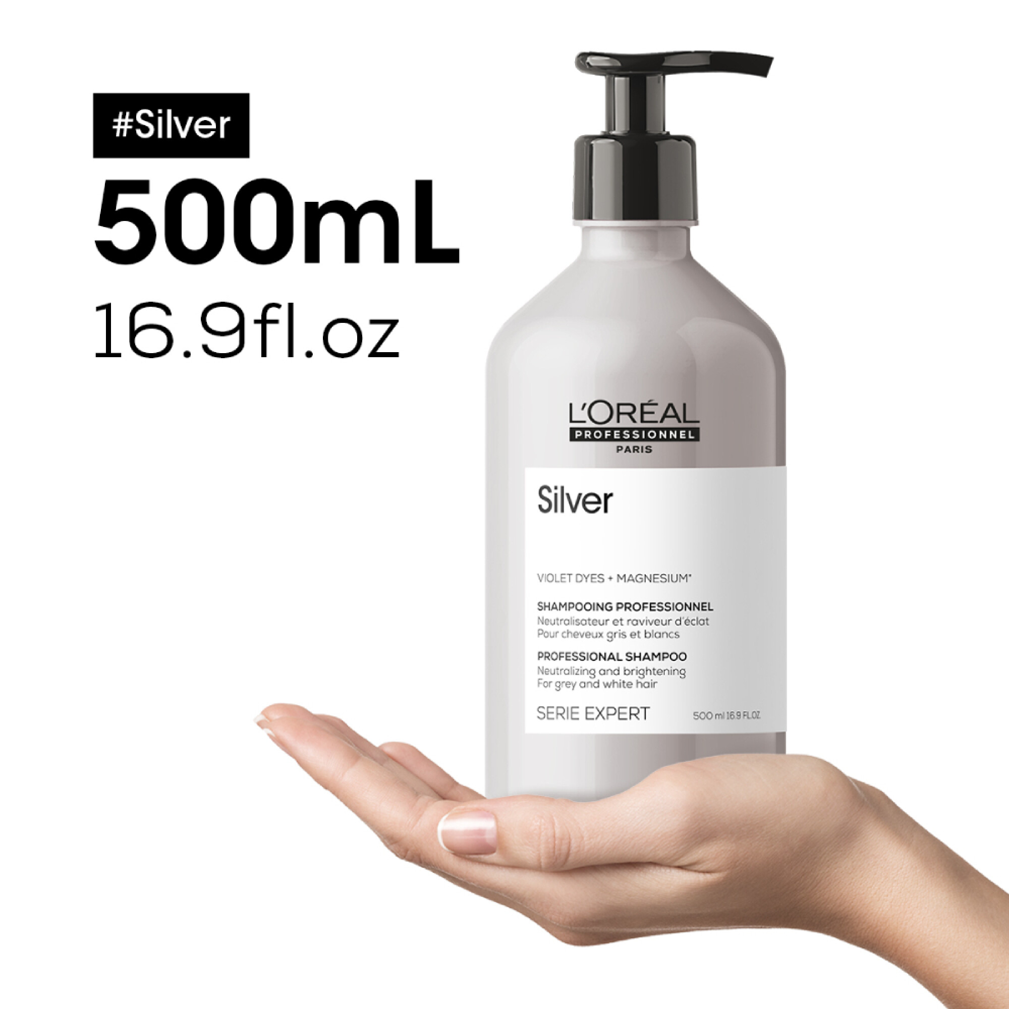 Shampoo L'Oréal Professionnel Silver 500ml — San Roque