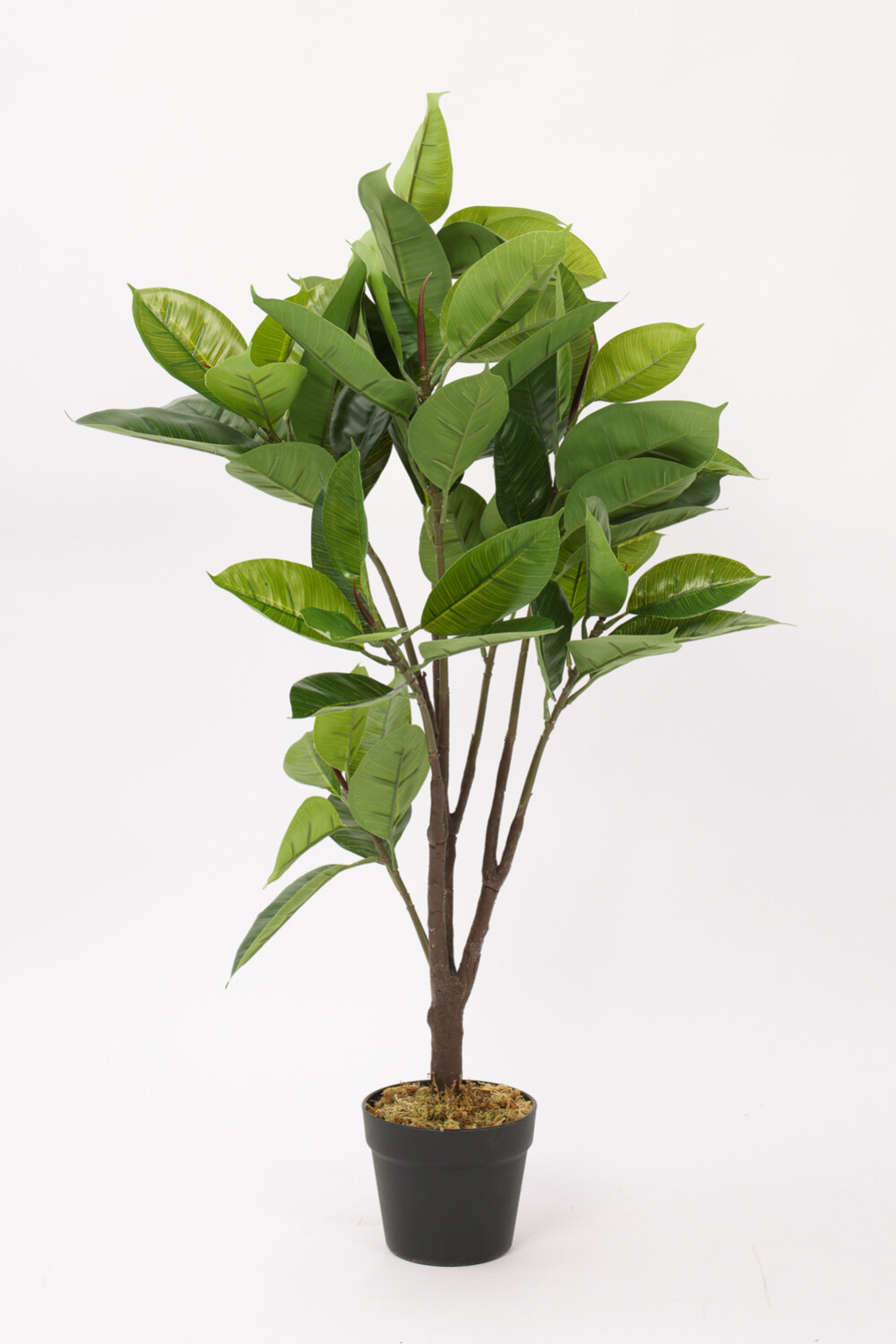 Planta Ficus Lyrata 95cm Color Unico