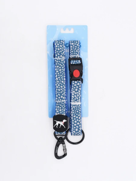 SET COLLAR CON CORREA MULTICOLOR