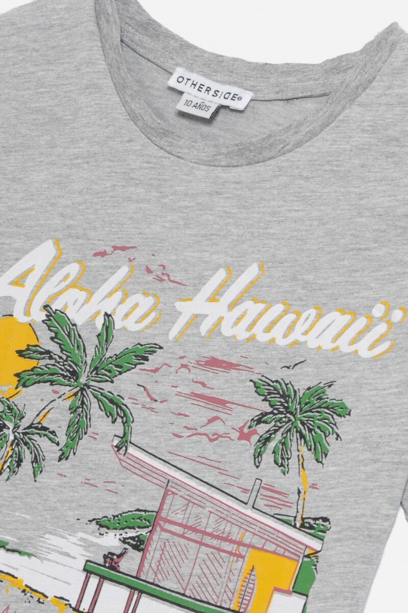 Remera estampada GRIS