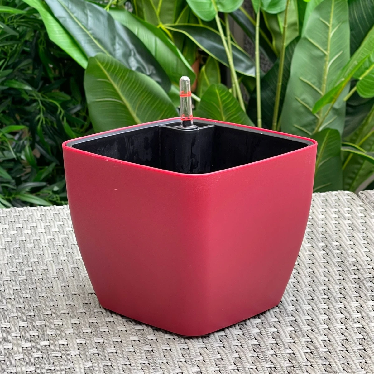 Maceta Polipropileno Alto 17CM x Largo 20CM x Ancho 20CM 