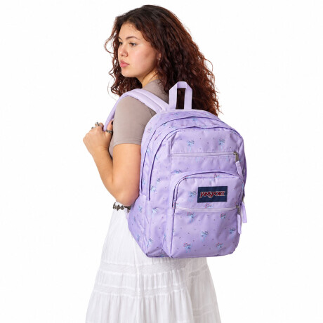 Mochila Escolar Laptop Jansport Big Student Original Urbana Lilac Blue Pink Green