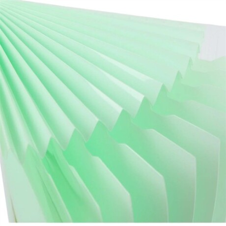 Carpeta con compartimentos A4 Verde