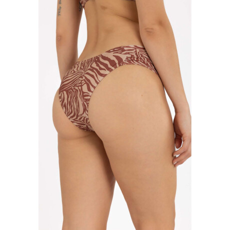 Vedetina bilbao est Zebra joy