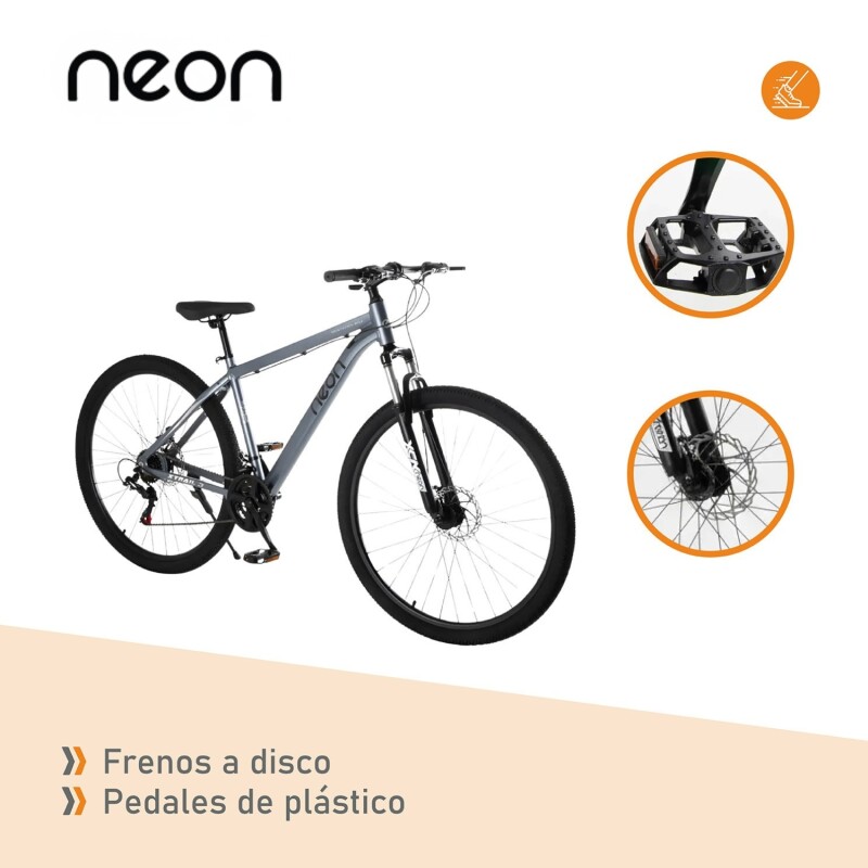Bicicleta Montaña Bike Ruta R29 Freno Disco Acero Gris