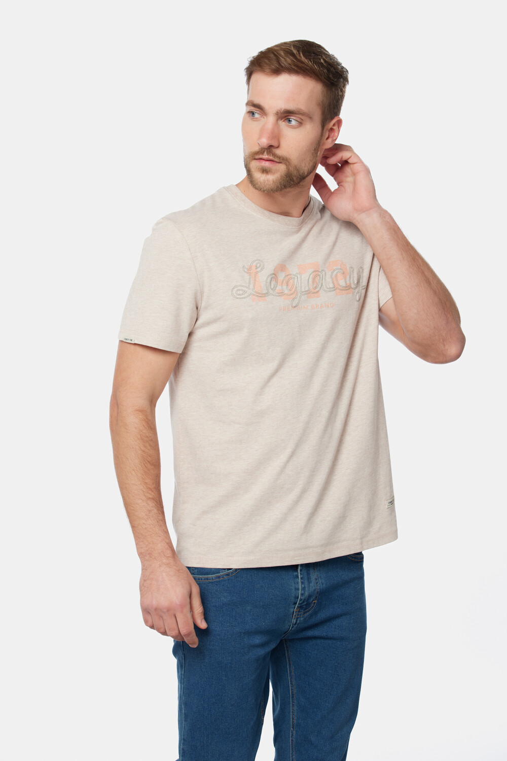 REMERA CON BORDADO Beige