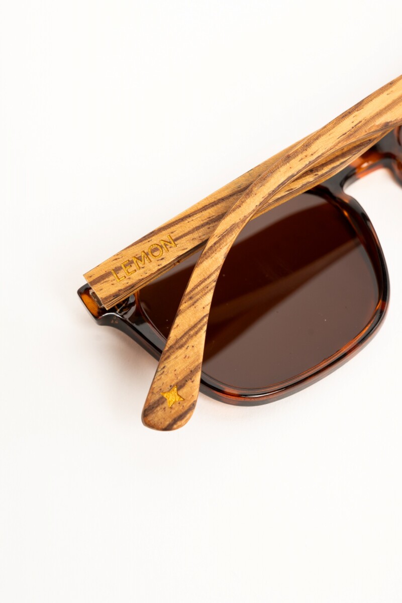 Lentes De Sol Polarizados Marron