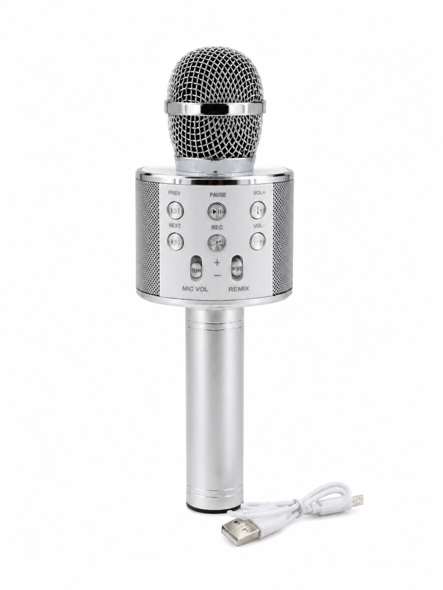 MICROFONO USB - PLATEADO 