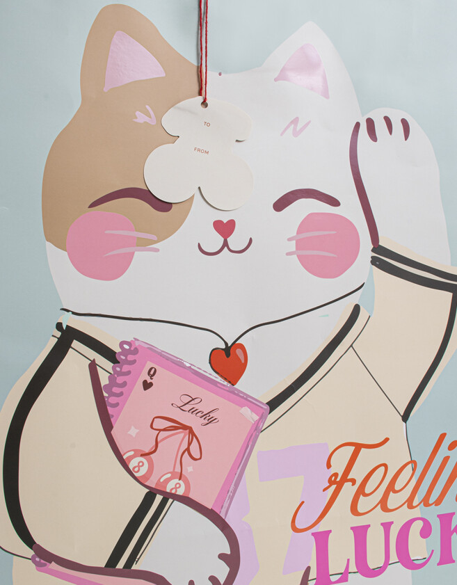 Accesorios Regalos Estampados Bolsa De Regalo Estampada - Combinacion Multicolor