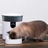 Dispensador Comida Automatico Inteligente Mascotas Wifi 7Lts Variante Color Blanco
