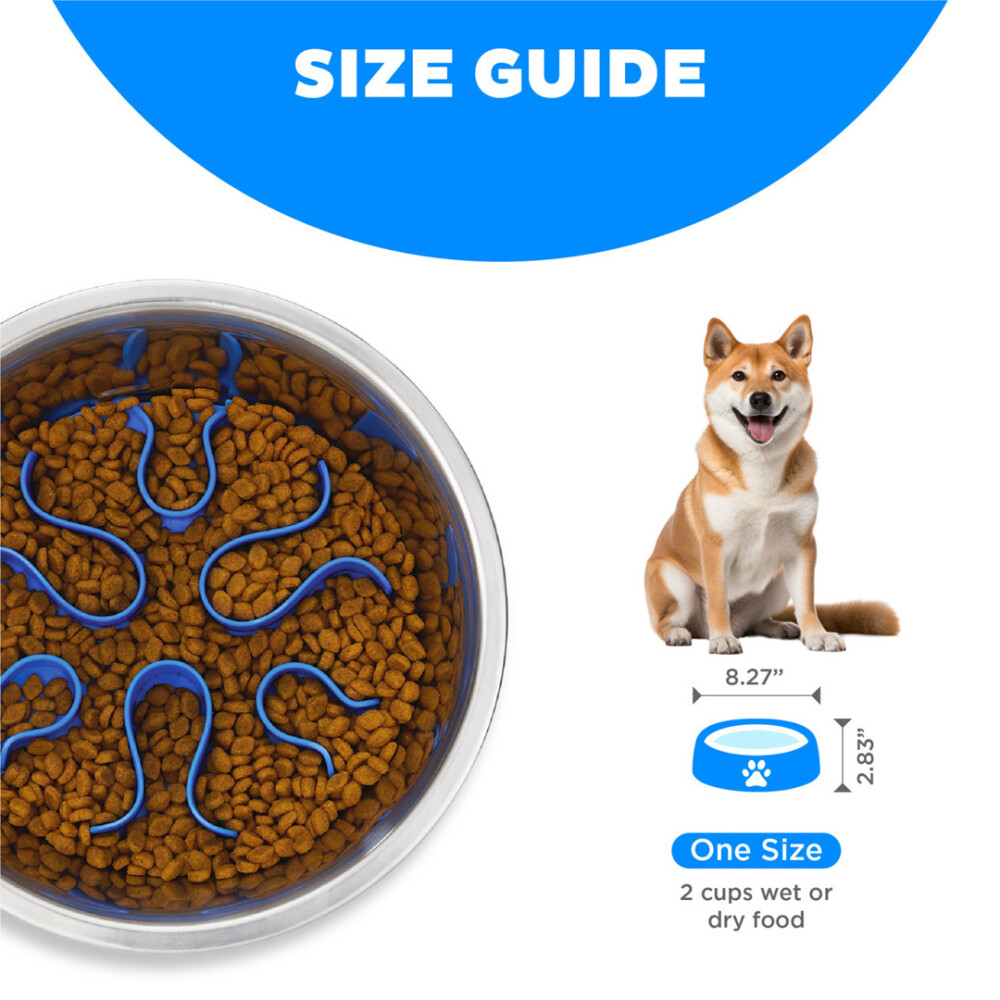 PLATO DE COMIDA EN ACERO INOXIDABLE FUN FEEDER N/A