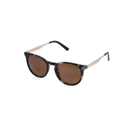 Lentes de sol Allie - Destiny C2 marrón