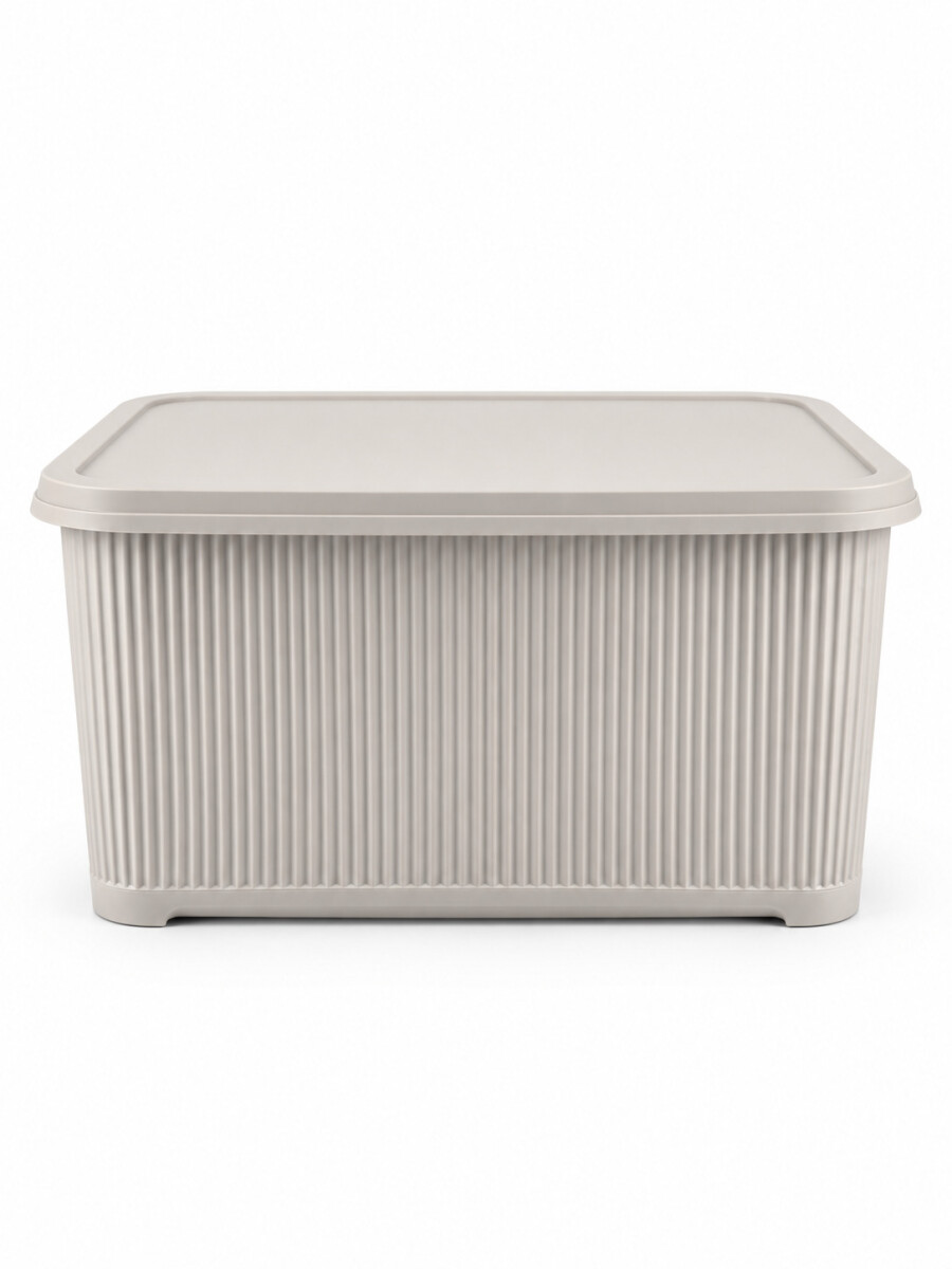 CAJA ORGANIZADORA C/ TAPA - BEIGE 