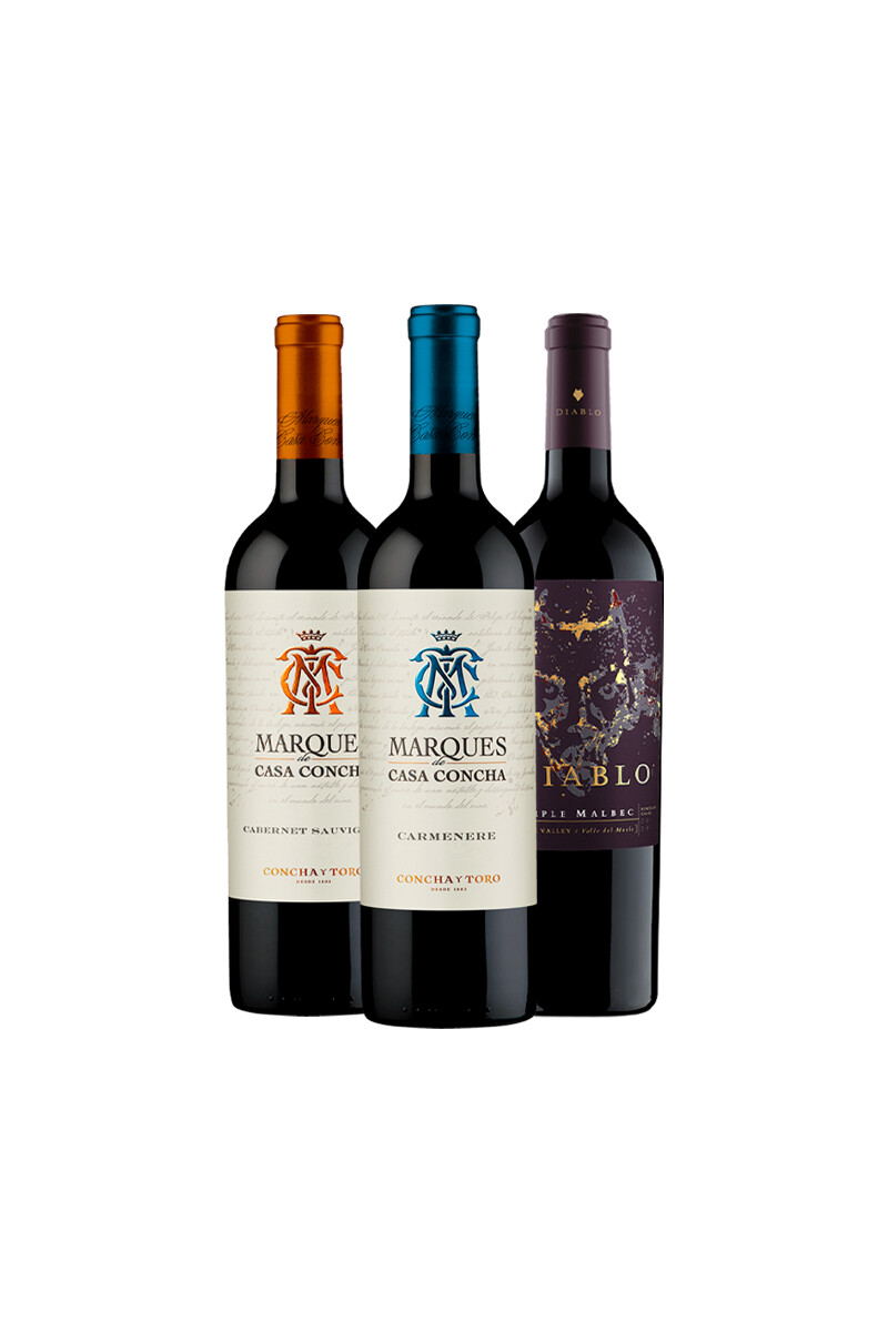 Pack Bacán Selección Esencia Chilena x3 vinos 