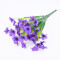 Margarita Craquelada Ramo Violeta