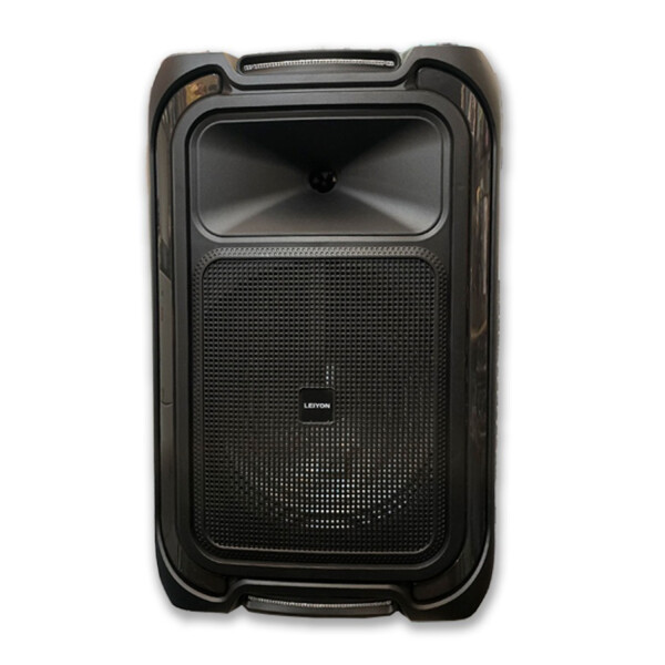 Parlante Leiyon Bx1253 12" PARLANTE LEIYON BX1253 12"