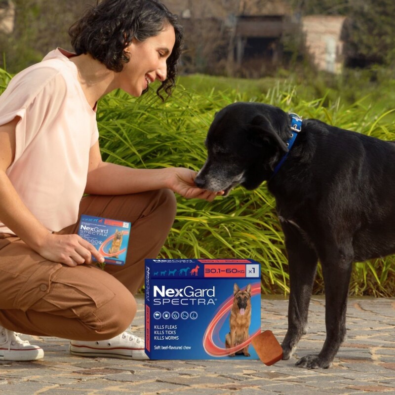 NEXGARD SPECTRA X 3 COMPRIMIDOS ANTIPARASITORIO INTERNO Y EXTERNO DE 30,1 A 60 KG