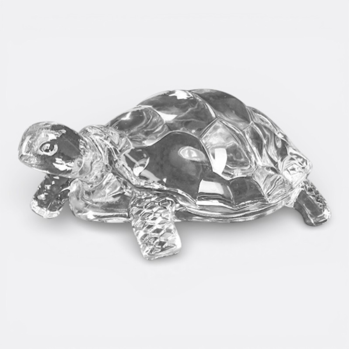 Tortuga Translúcida Decorativa Grande - Traslúcida 