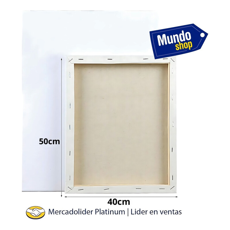 Pack X 5 Lienzo Bastidor 40x50m Cuadro Pintura Oleo Blanco Blanco